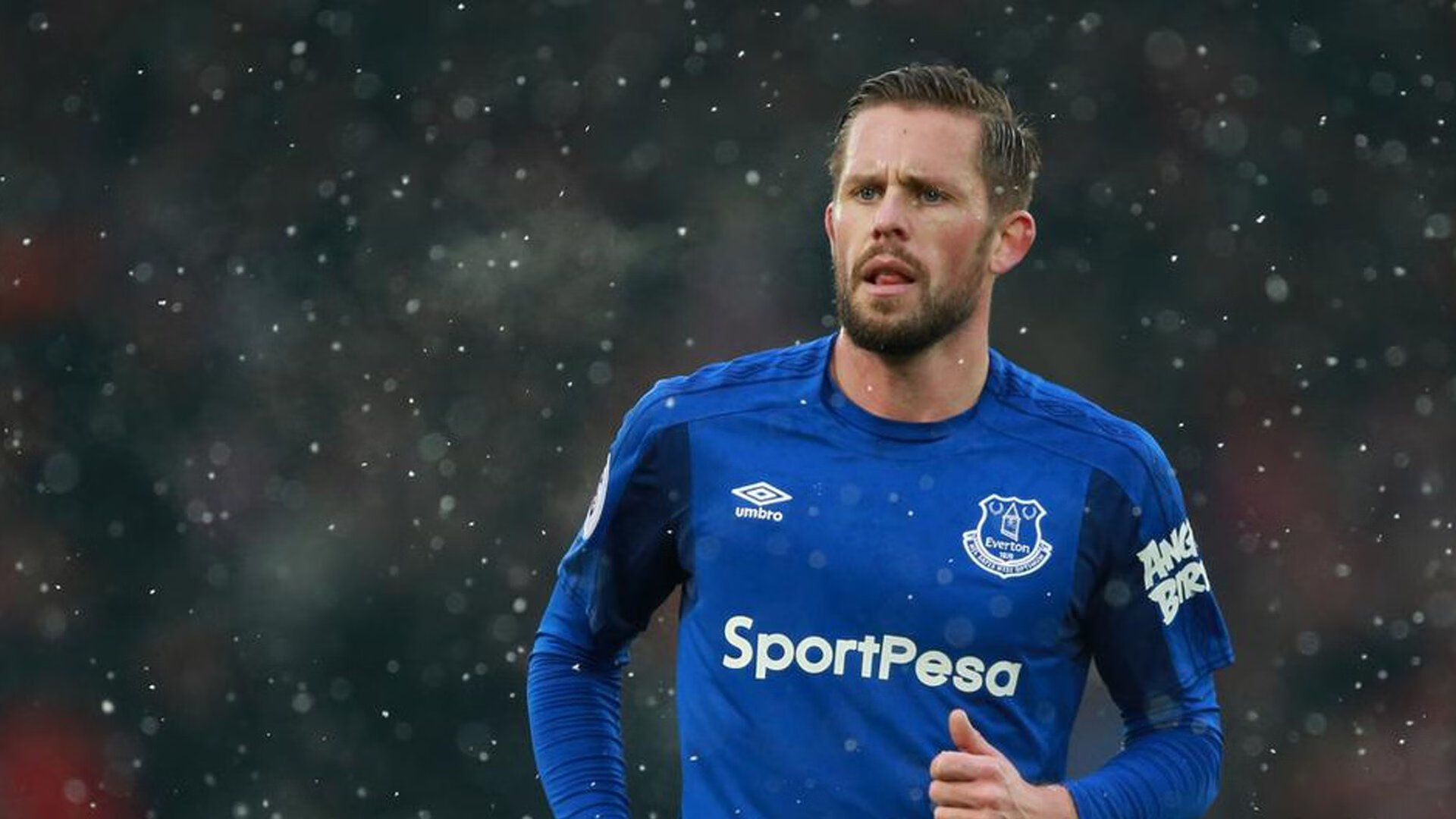 红土与硬地征服者，解码蒂姆如何以蒙特卡洛模式横扫总决赛