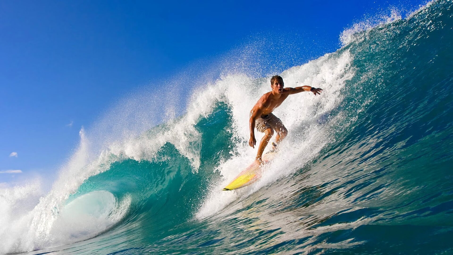 PG中国登录入口-东边日出西边雨，赛场上的太极云手与樱花剑舞