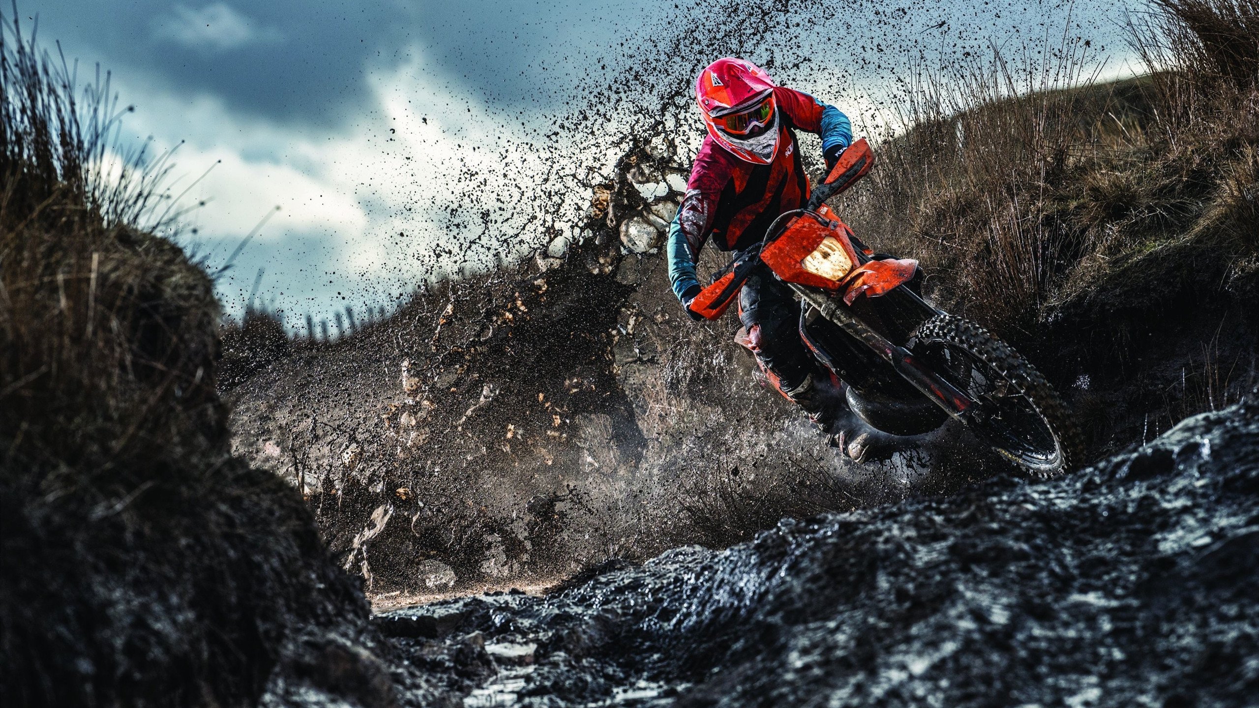 太平洋西岸的白矮星,四川队逆转凯尔特人之夜,西亚卡姆为何灼痛篮球宇宙?